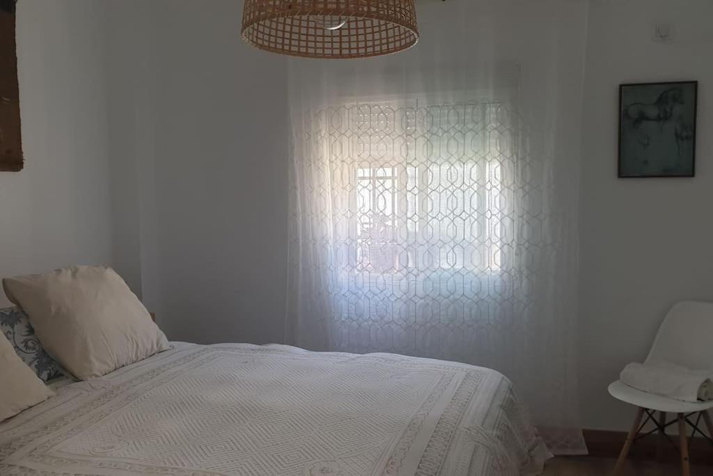 Bonito Apartamento En El Casco Antiguo Jaén Exterior foto